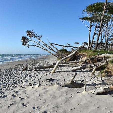 Strandhafer An Der Seebruecke Zingst Εξωτερικό φωτογραφία