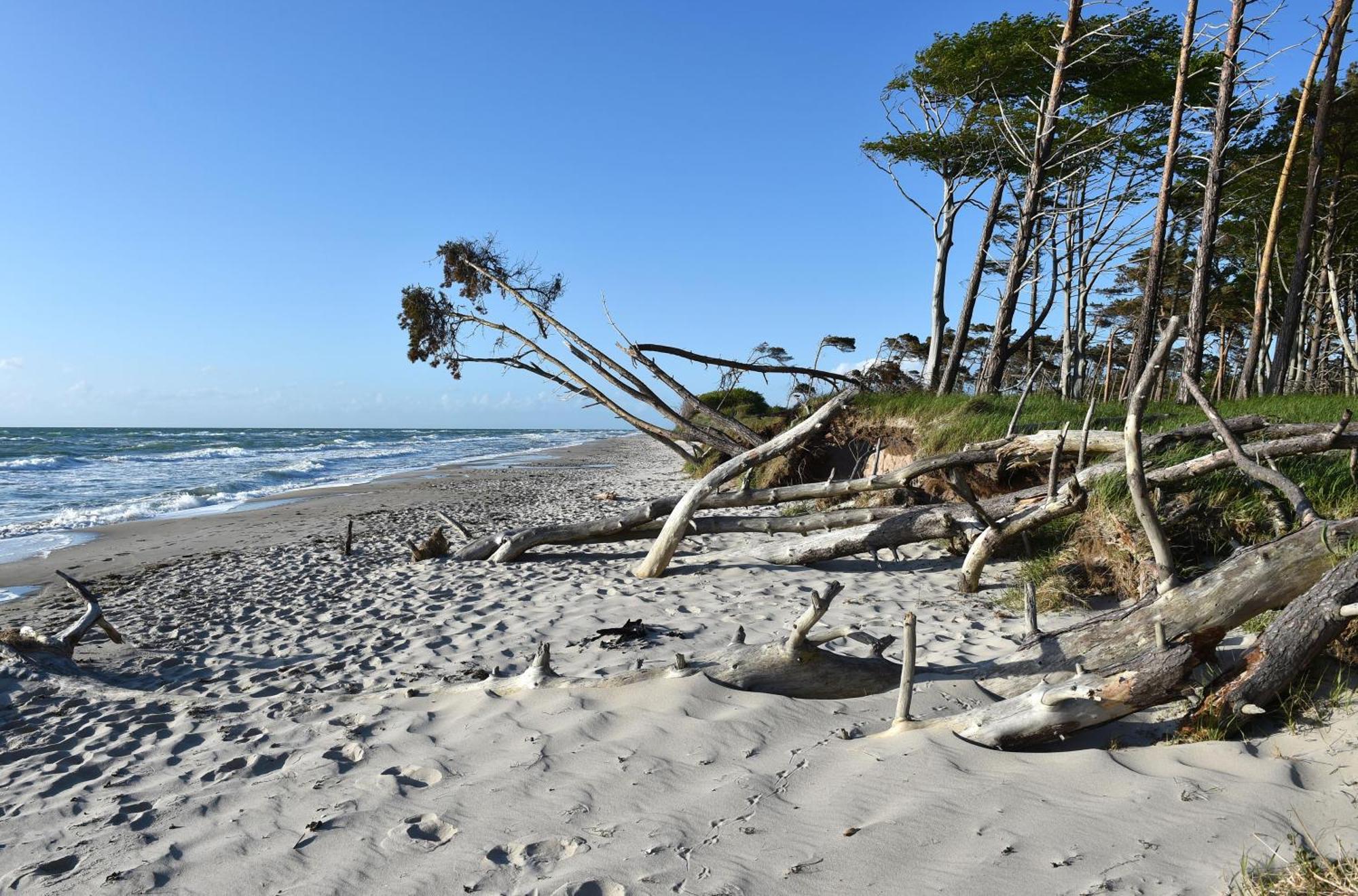 Strandhafer An Der Seebruecke Zingst Εξωτερικό φωτογραφία