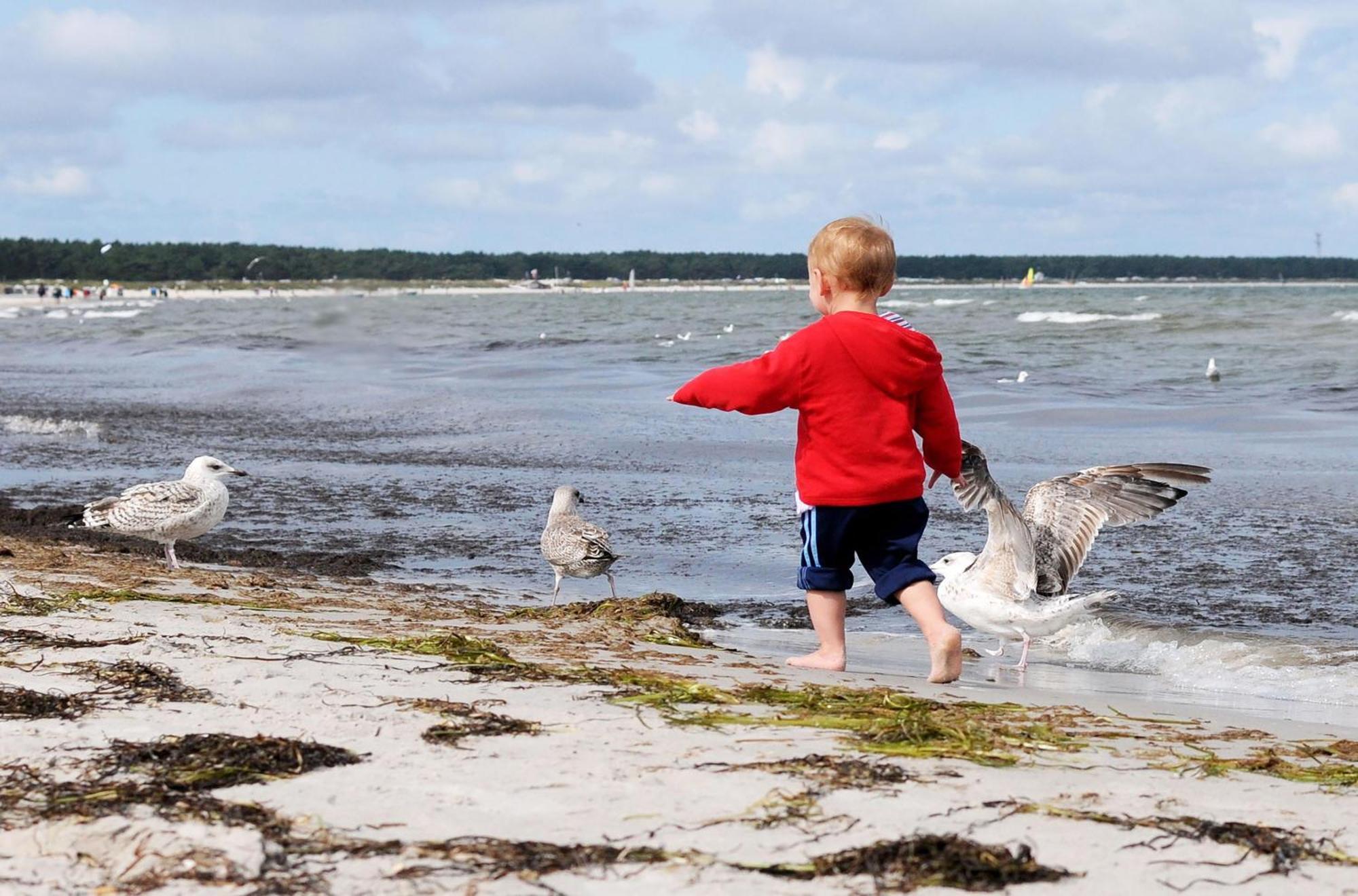 Strandhafer An Der Seebruecke Zingst Εξωτερικό φωτογραφία
